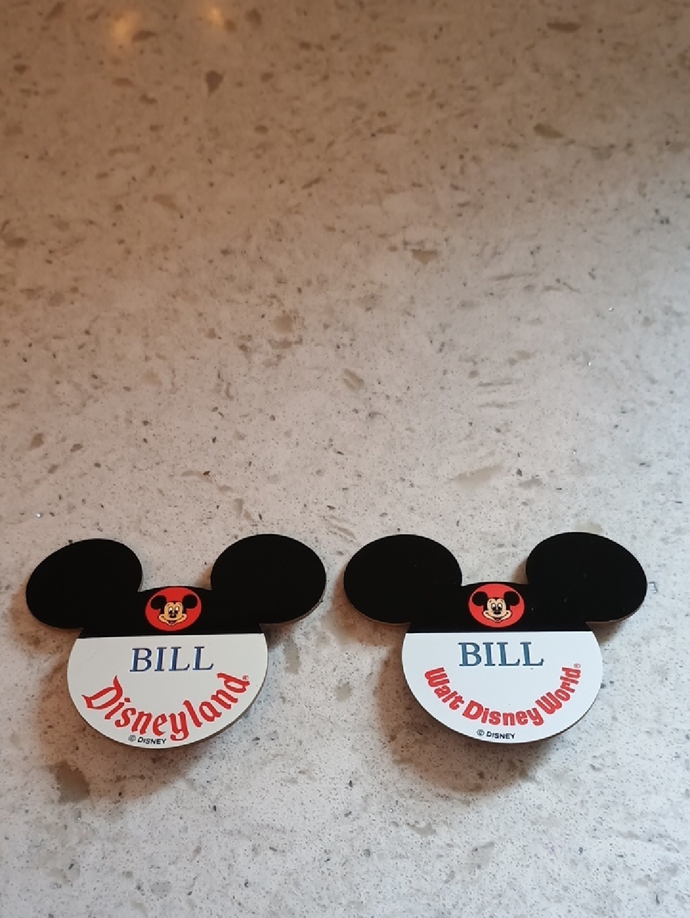 Personalized "Bill" Disney Mickey Ear Name Pins For DisneyLand/Walt Disney World
